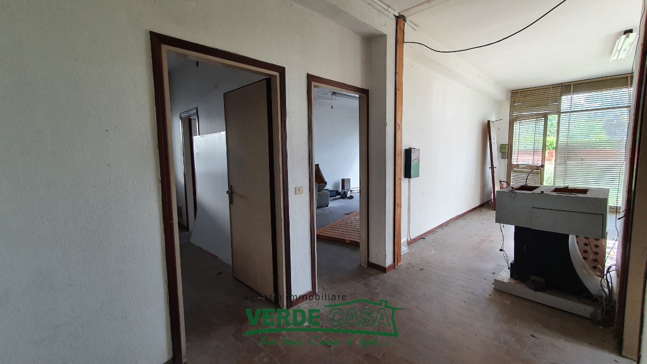Gallery 1
