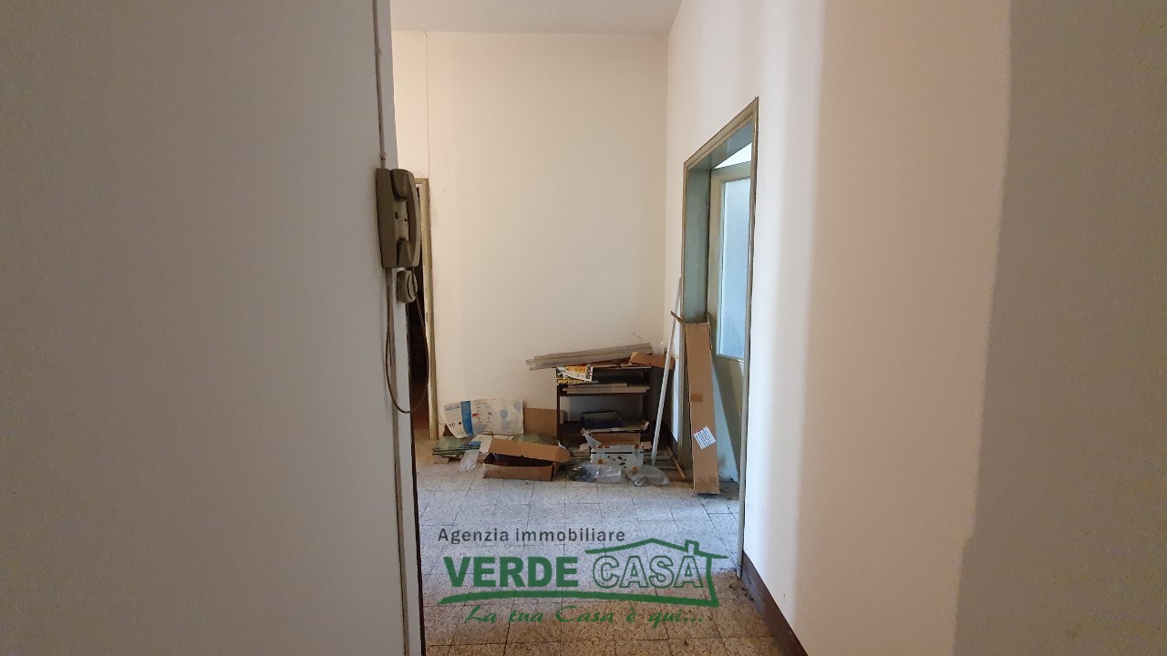 Gallery 1