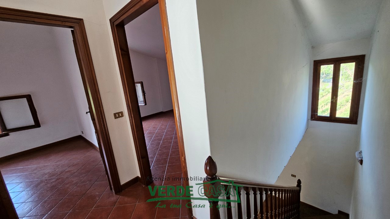 Gallery 1