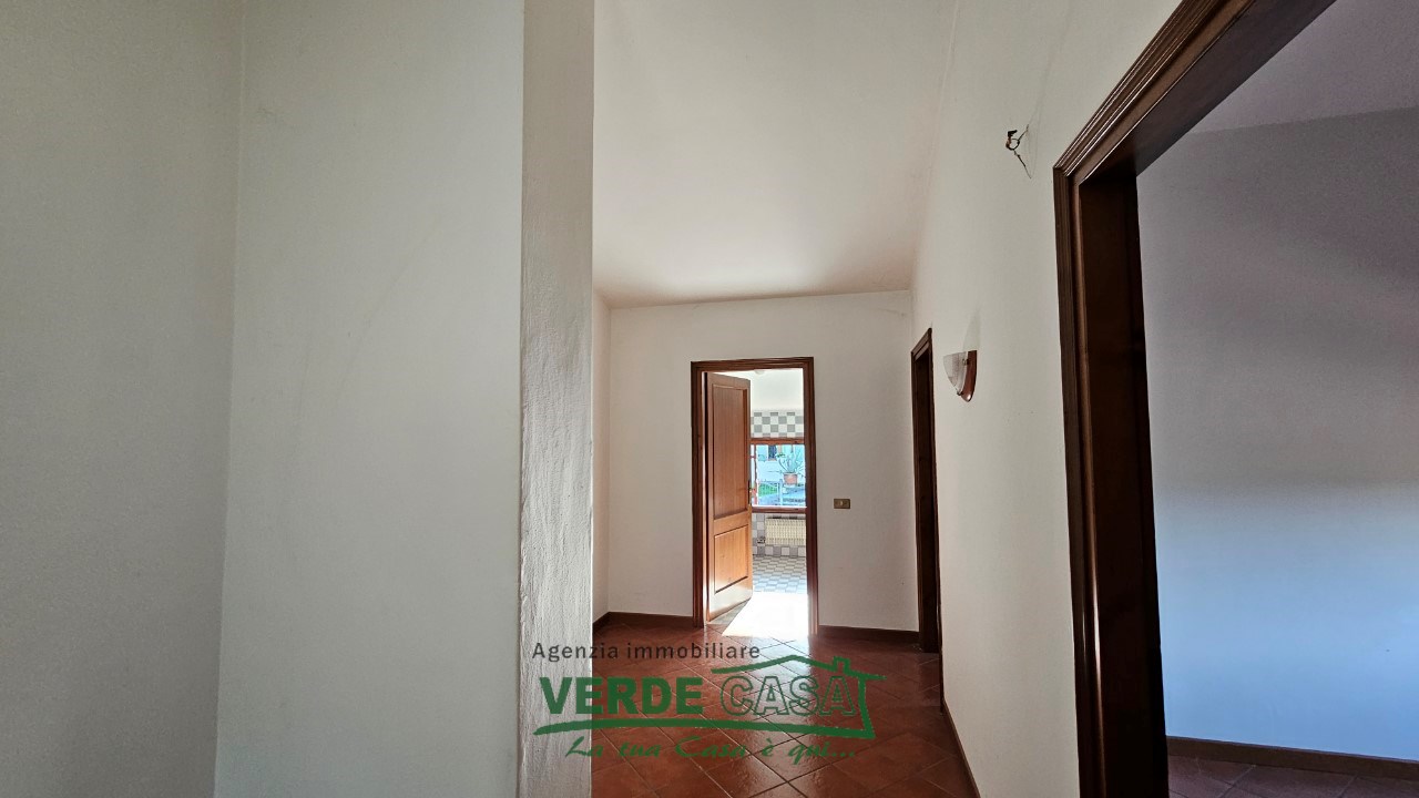 Gallery 1