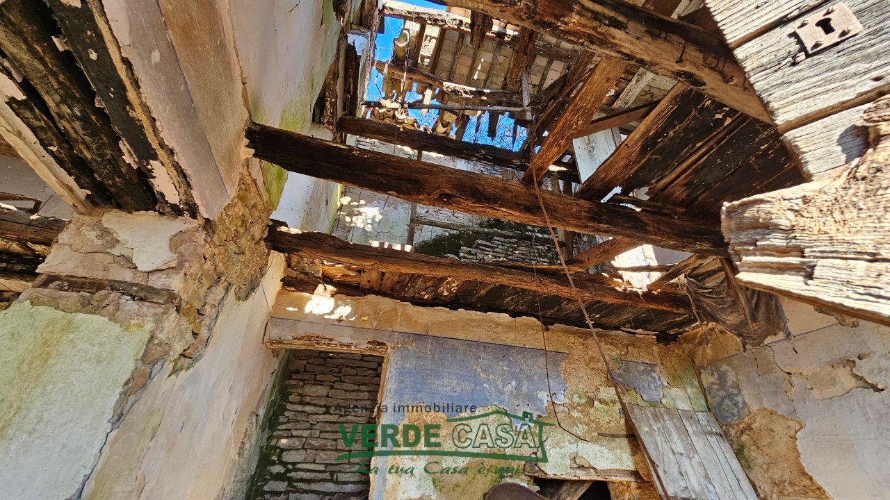 Gallery 1