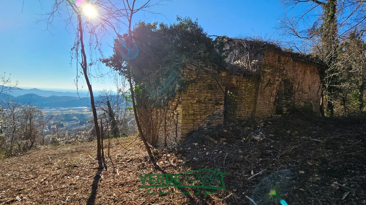 Gallery 1