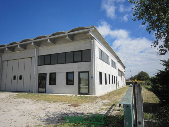 Gallery 1