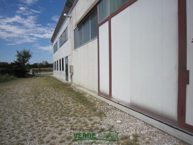 Gallery 1