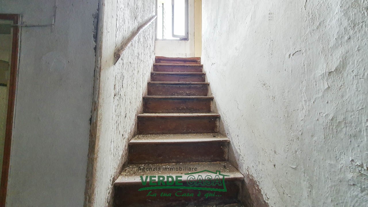 Gallery 1