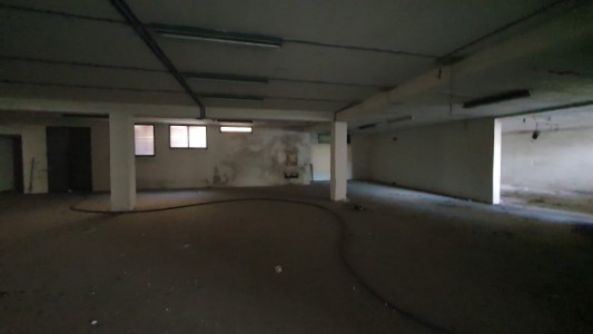 Gallery 1