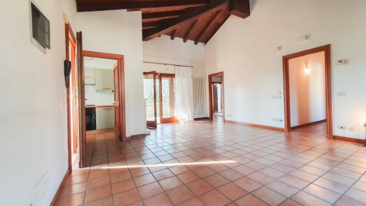 Gallery 1