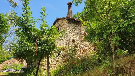 Gallery 1