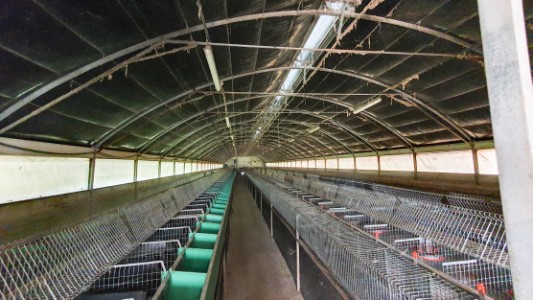 Gallery 1