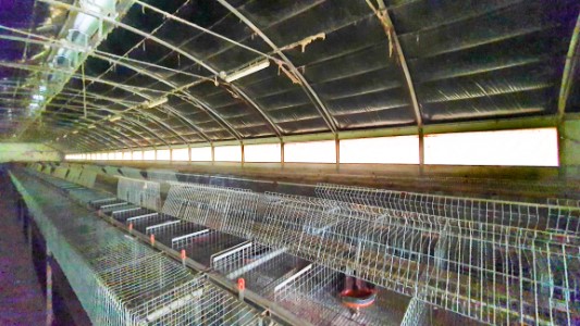 Gallery 1