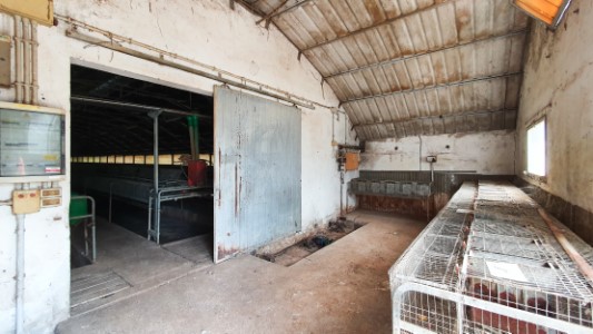 Gallery 1
