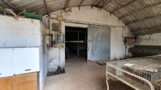 Gallery 1