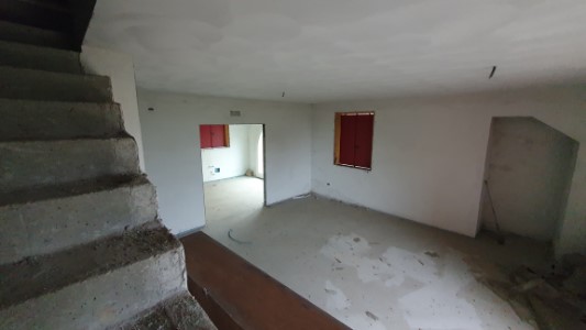 Gallery 1