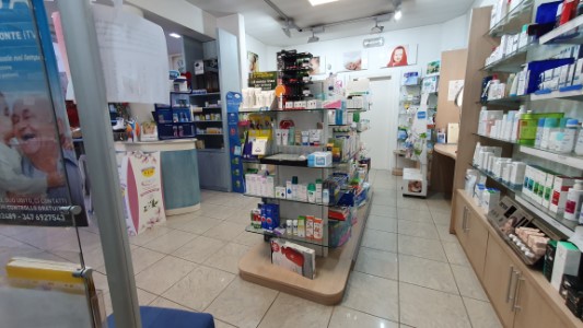 Gallery 1
