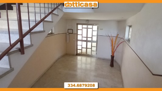 Gallery 1