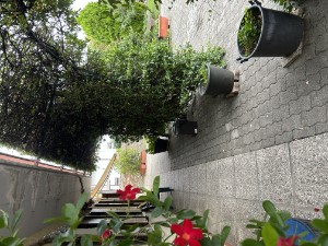 Gallery 1