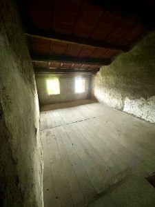 Gallery 1