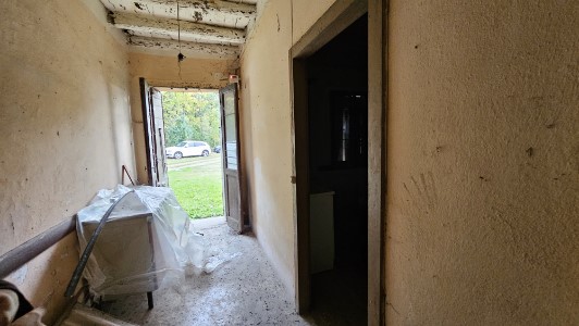 Gallery 1