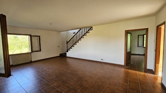 Gallery 1