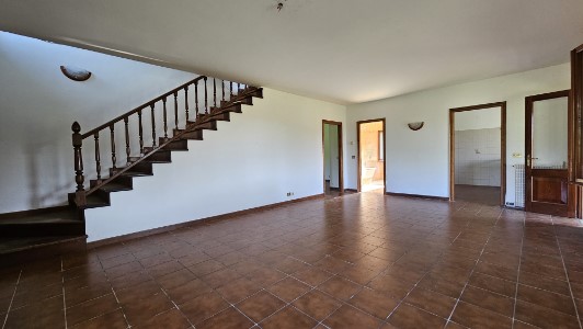 Gallery 1