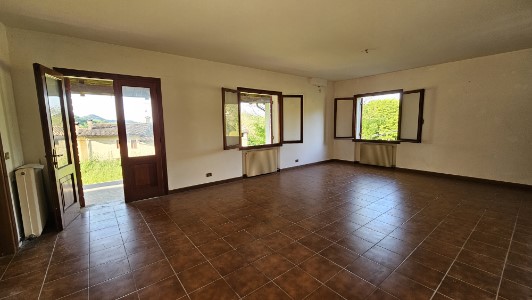 Gallery 1