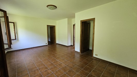 Gallery 1