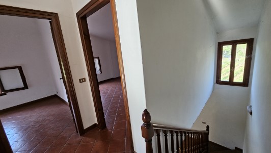 Gallery 1