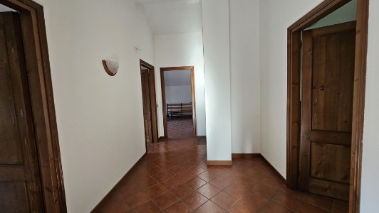 Gallery 1