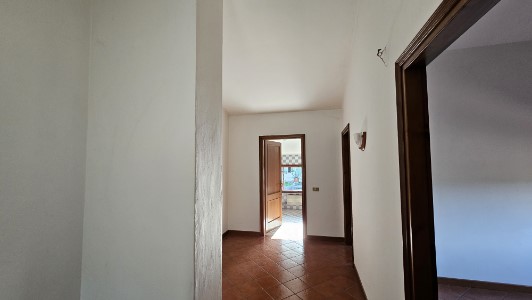 Gallery 1