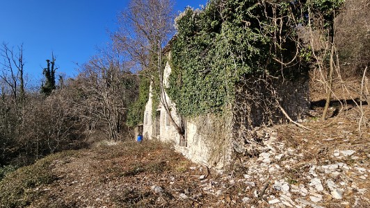 Gallery 1