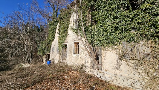 Gallery 1