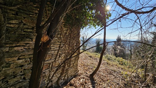 Gallery 1