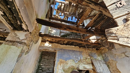 Gallery 1