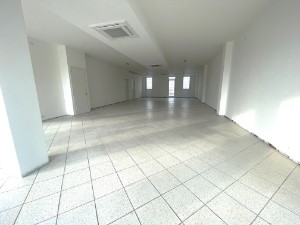 Gallery 1