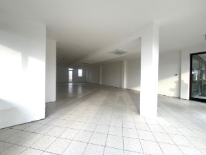 Gallery 1