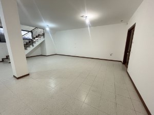Gallery 1
