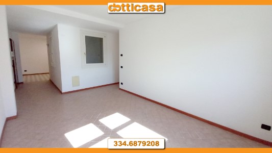 Gallery 1