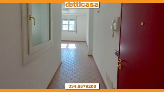 Gallery 1