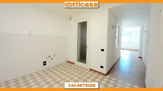 Gallery 1