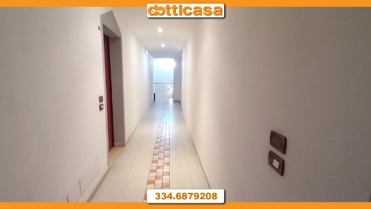 Gallery 1