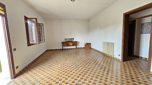 Gallery 1