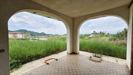 Gallery 1