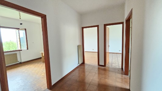 Gallery 1
