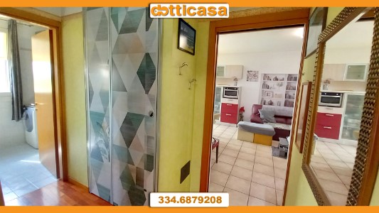Gallery 1