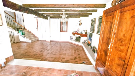 Gallery 1