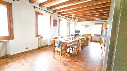 Gallery 1