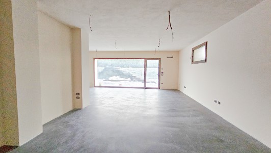 Gallery 1