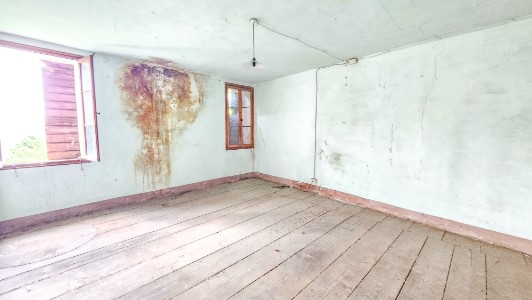 Gallery 1