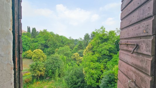 Gallery 1