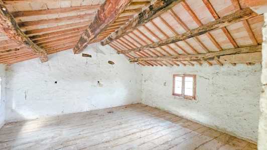 Gallery 1